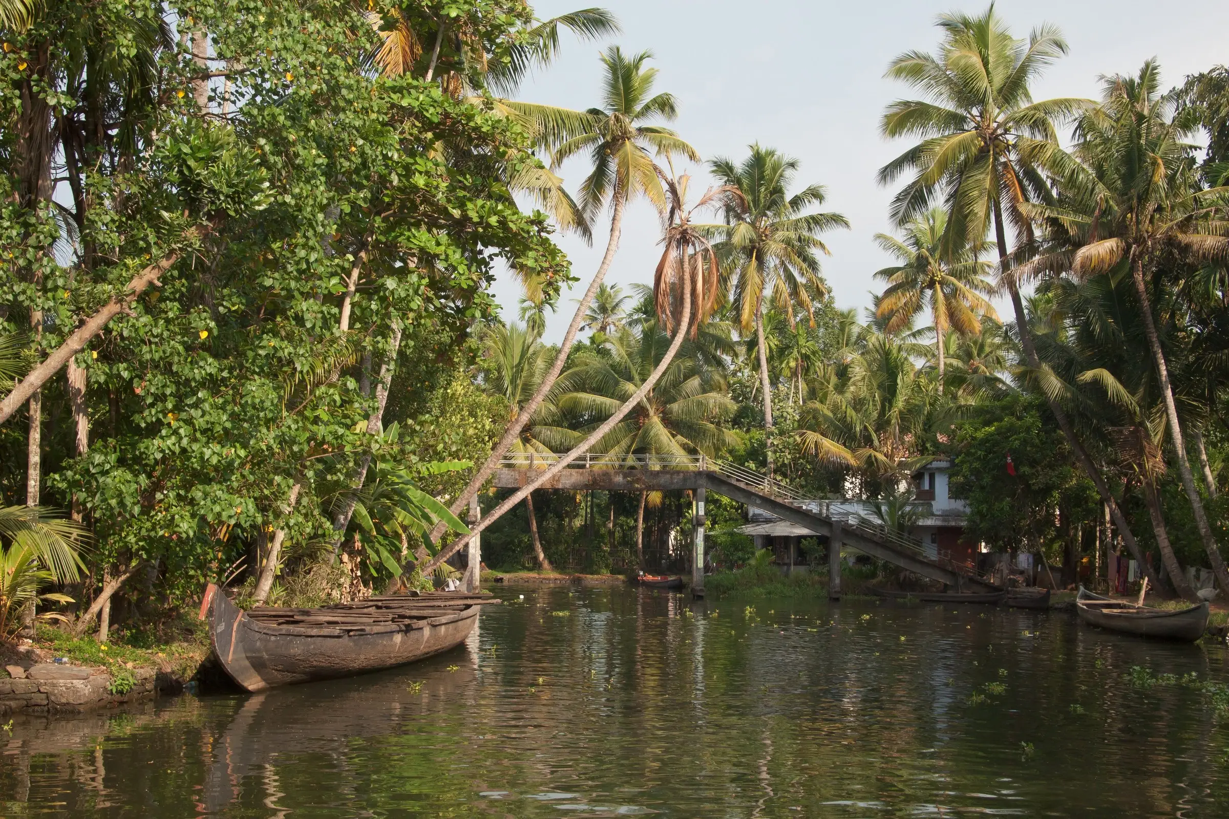 A narrow backwater canal lined with coconut palms, a wooden canoe in the foreground and a footbridge in the background.