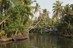 A narrow backwater canal lined with coconut palms, a wooden canoe in the foreground and a footbridge in the background.