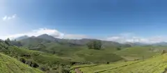 A wide panorama of terraced tea plantations rolling toward distant blue mountains under a clear sky.