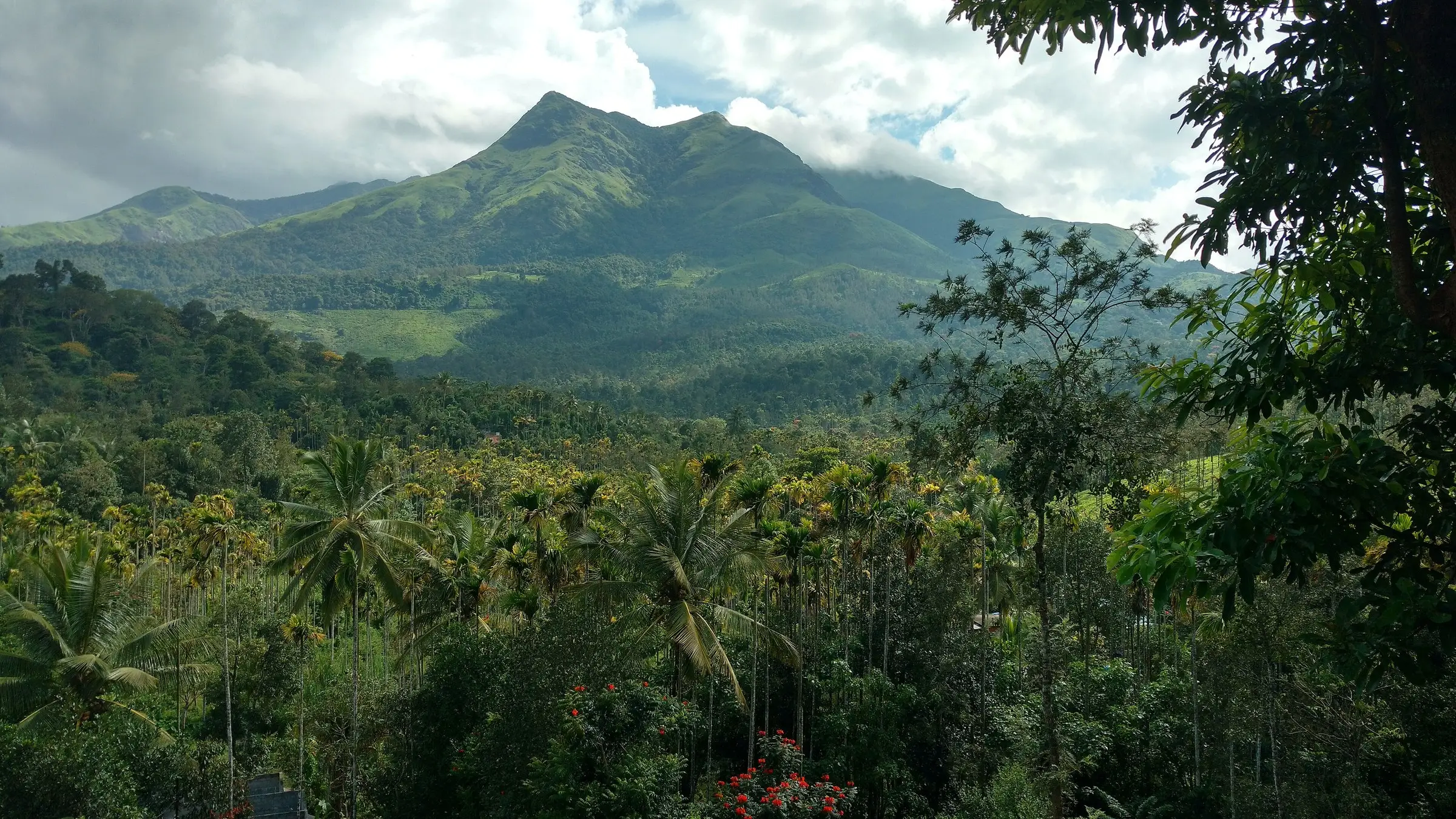 A green peak with clouds above a forest of areca palms and tropical trees in the foreground.